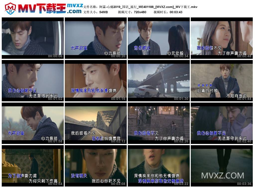 阿霖-心痛2019_国语_流行_ME401188